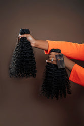 Raw Burmese Curly